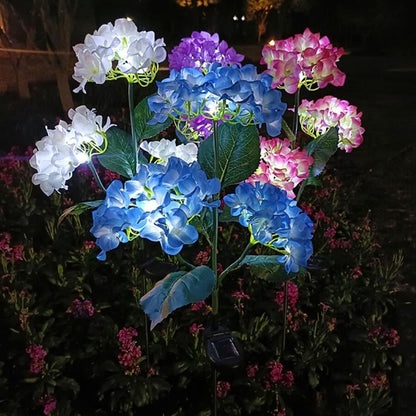 Zonne-tuinsieren Zonne-energie Hortensia ontwerp