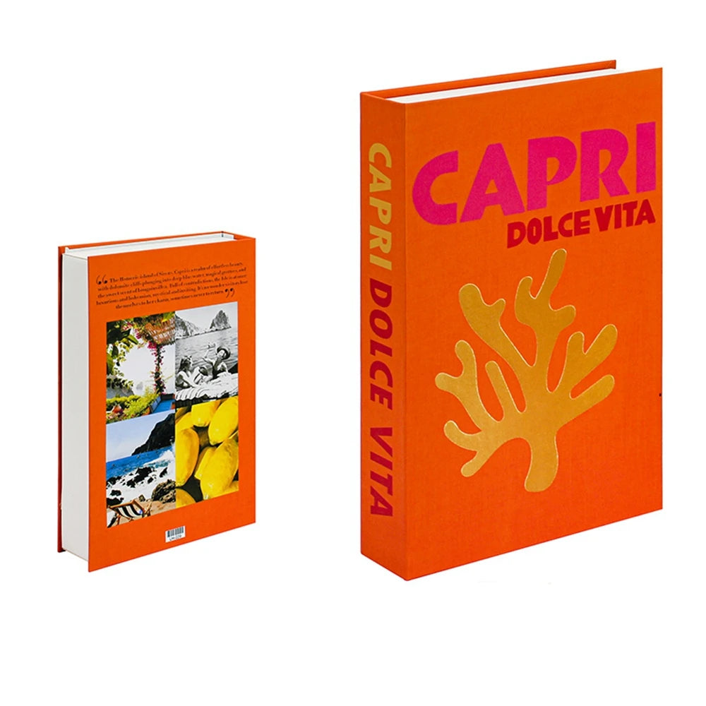 decoratieve boeken gekleurde set