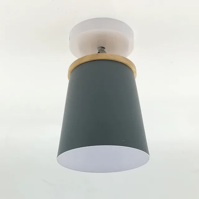 ijzeren plafondlamp als stijlvolle verlichting voor de woonkamer