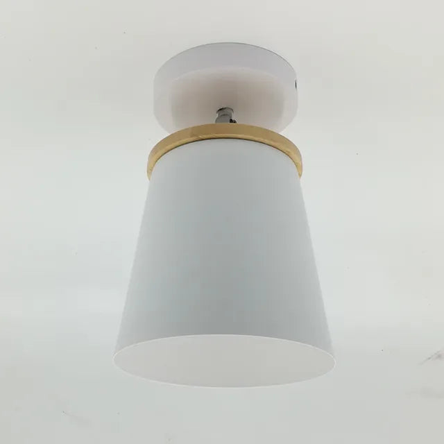 verstelbare koepel van de ijzeren plafondlamp voor gericht licht