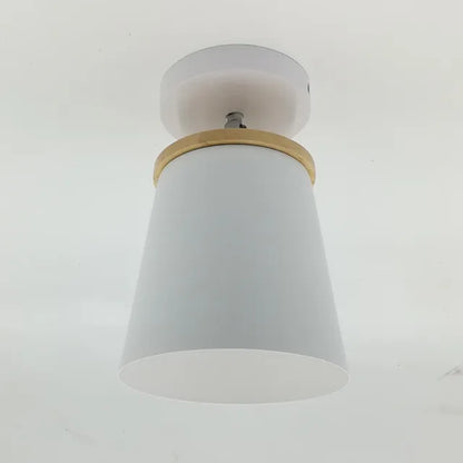 Plafondlamp Verstelbare IJzeren Koepel E27