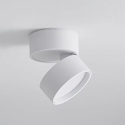 Stijlvolle Favilla Oppervlakte Plafondlamp voor een Moderne Sfeer