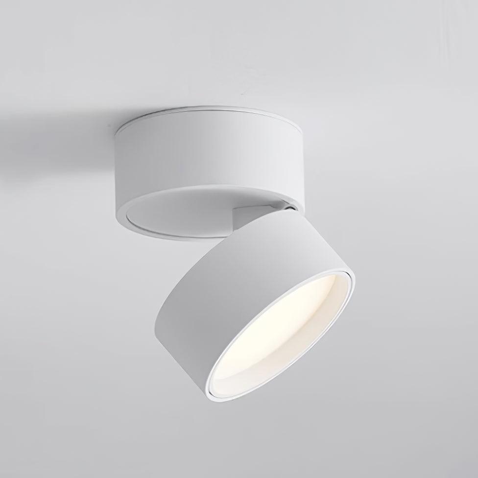 stijlvolle favilla oppervlakte plafondlamp voor een moderne sfeer