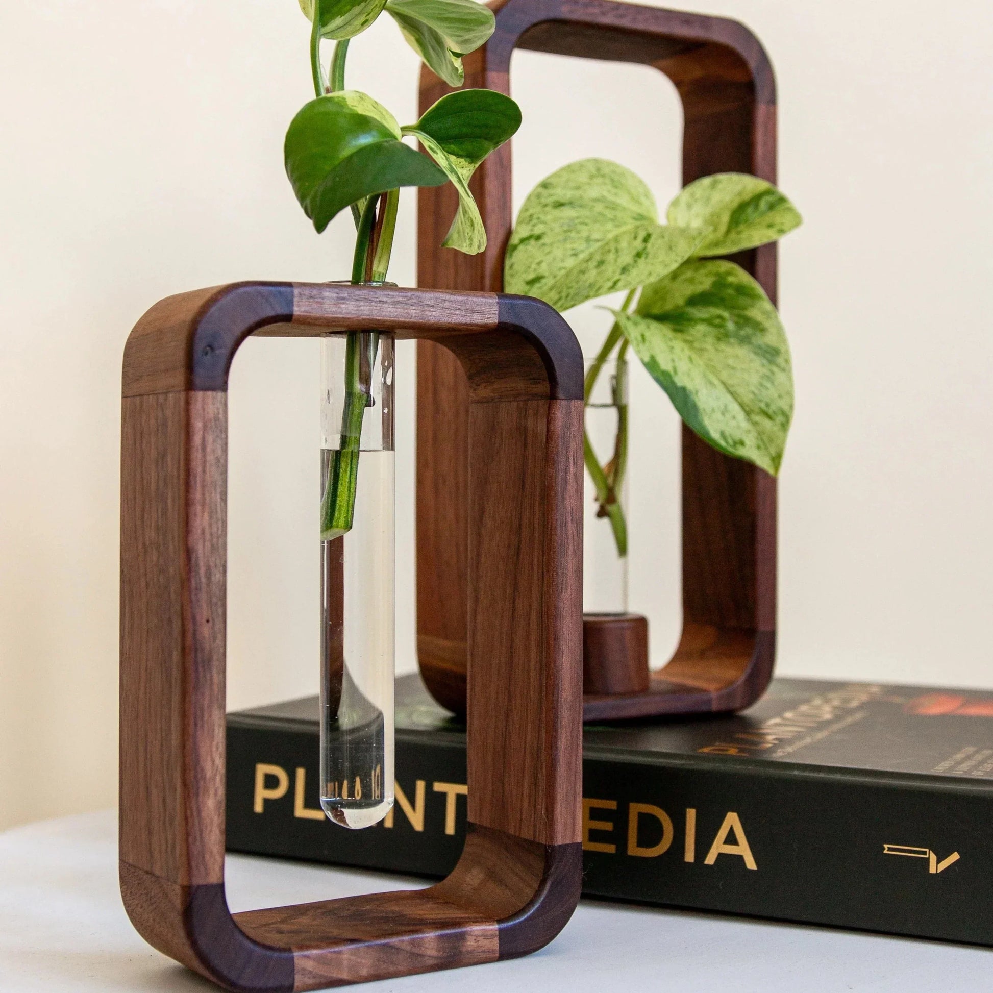 Stekjesvaas met meerdere glasbuizen in een houten frame op een lichte ondergrond