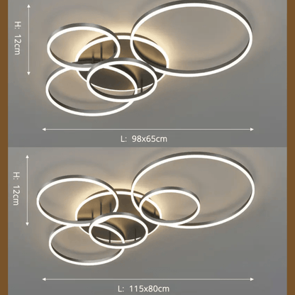 Stijlvolle Zwarte Plafondlamp voor een Hedendaagse Interieur