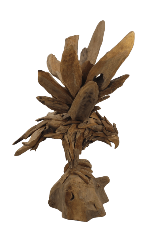 adelaar - teak wortelhout - small