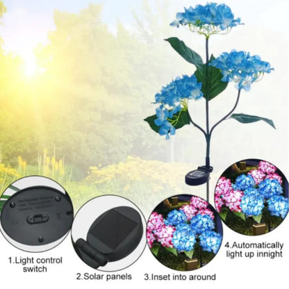 Zonne-tuinsieren Zonne-energie Hortensia ontwerp