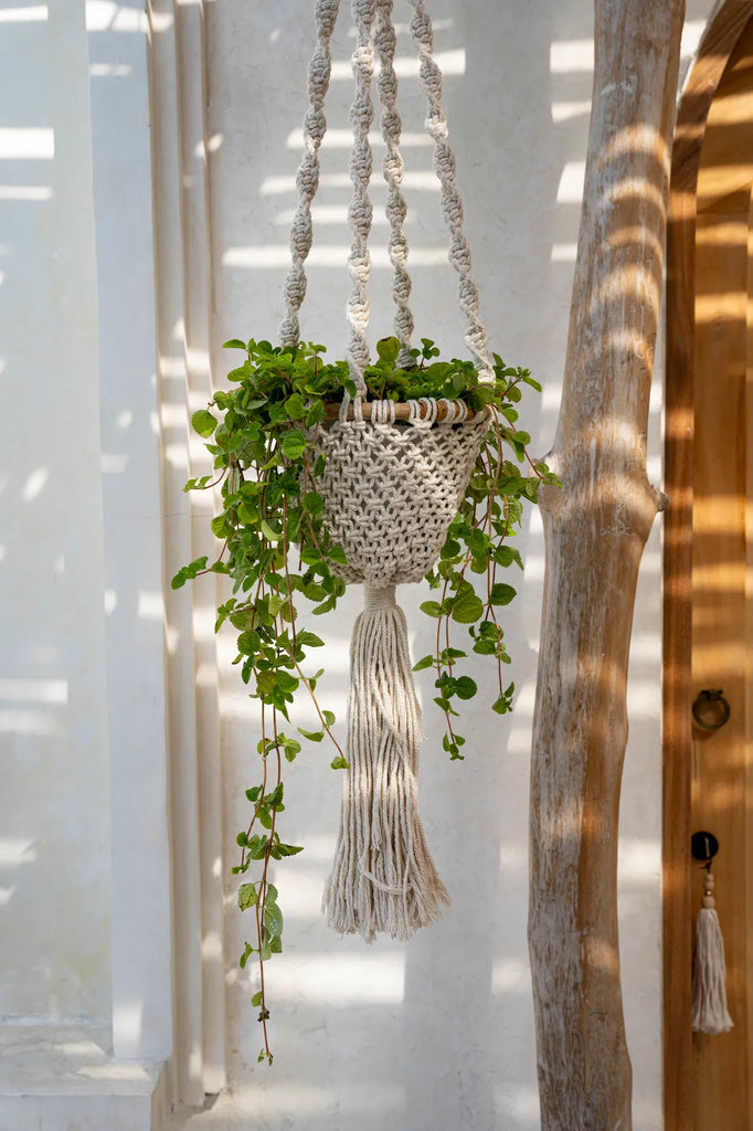 the twisted macrame plant hanger - natural white - l