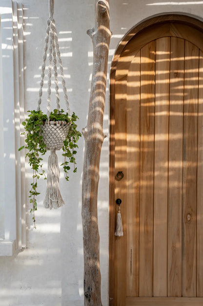 The Twisted Macrame Plant Hanger - Natural White - S