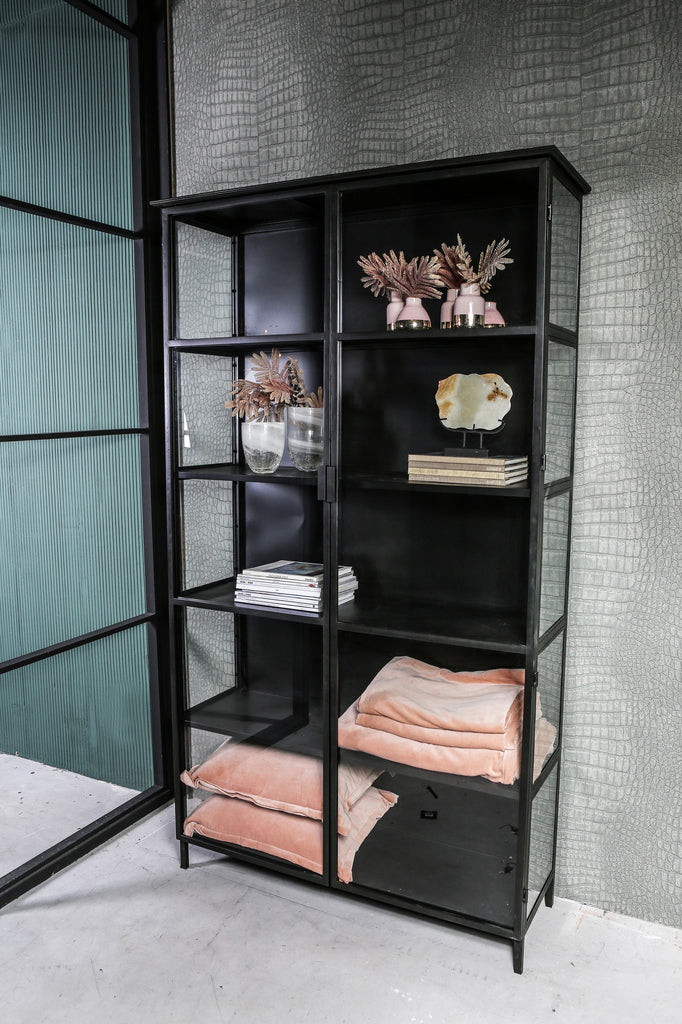 elina glass cabinet black iron frame 2 doors