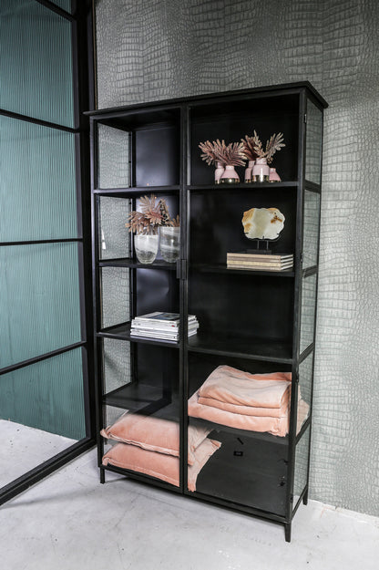 Elina Glass cabinet black iron frame 2 doors