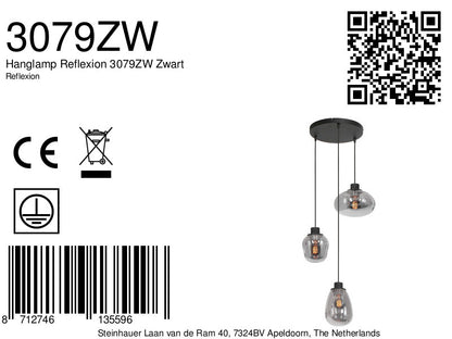 Hanglamp Reflexion 3079ZW Zwart