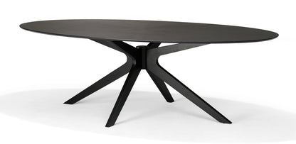 Julia 120X70 Coffee Table Oval Oak Black