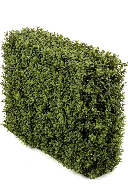 Artificial Boxwood hedge 70x20x50 cm UV

 Translated to Dutch:
 Artificial Boxwood Hedge 70x20x50 cm UV