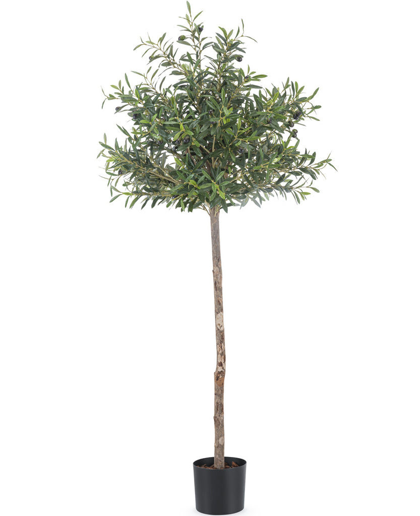 kunst olijfboom met olijven 155 cm