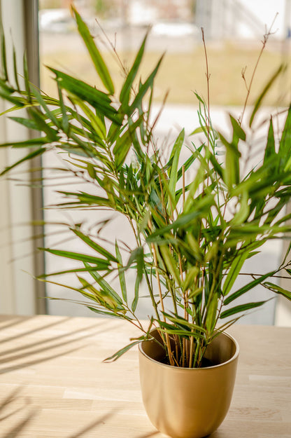 Kunstplant Bamboe Royaal 70 cm