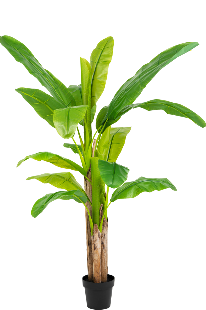 kunstplant bananenboom 180 cm