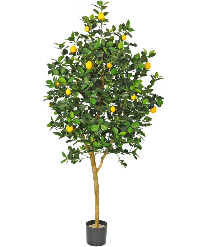 kunstplant citroenboom 150 cm