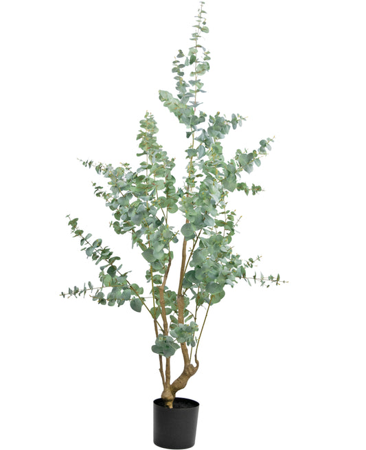 Artificial plant Eucalyptus 180 cm