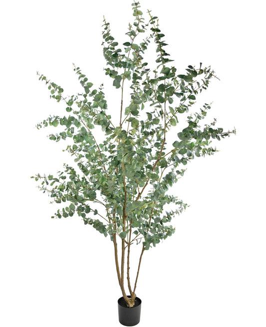 Artificial plant Eucalyptus 240 cm