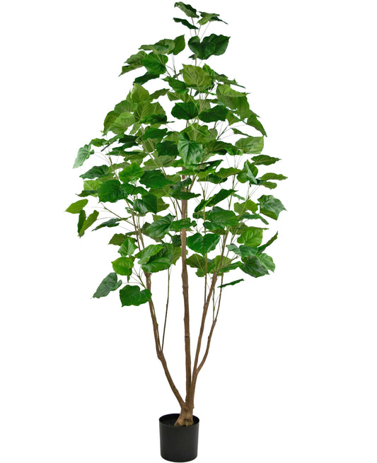 Artificial Ficus plant 210 cm