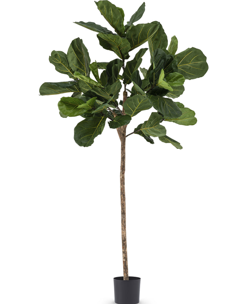 kunstplant fiddle leaf 225 cm