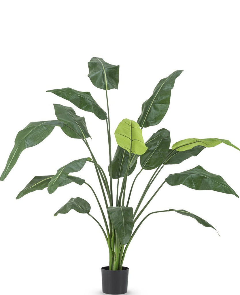 kunstplant strelitzia deluxe 180 cm