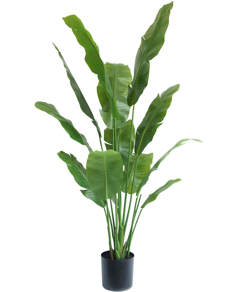 kunstplant strelitzia nicolai 165 cm