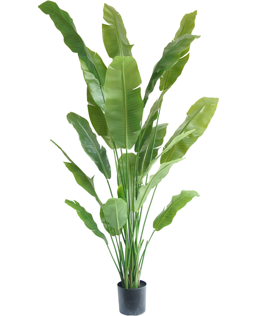 kunstplant strelitzia nicolai 210 cm