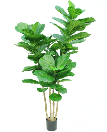 Kunstplant Tabaksplant Fiddle Leaf 200 cm