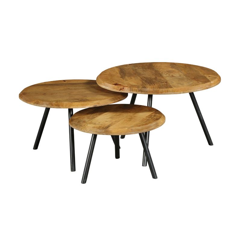 ohio coffee table | set of 3