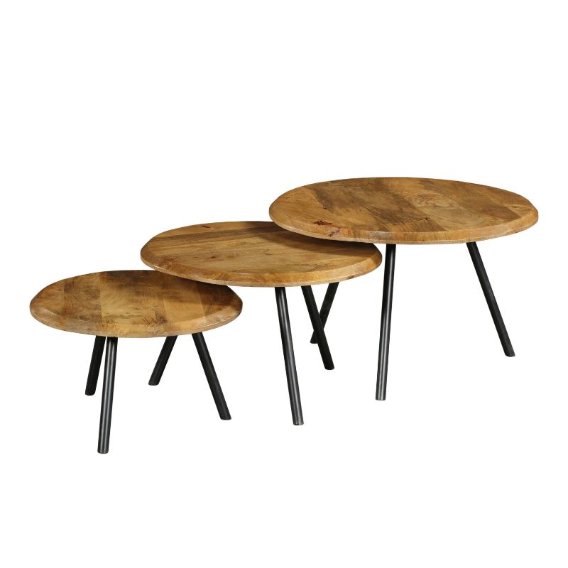 ohio coffee table | set of 3