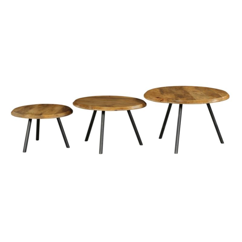 ohio coffee table | set of 3