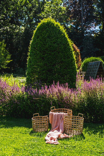 De S'il vous Plaid - Zalm Roze